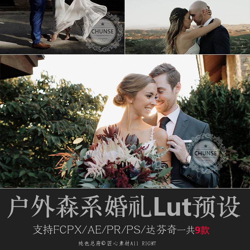 LUT预设专业婚礼自然电影色调PS/AE/Pr/FCPX/达芬奇调色lut预设U6