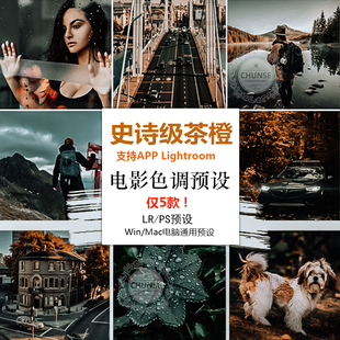 史诗茶橙lr预设手机版app 电脑青橙Lightroom预设PS滤镜修图lut