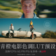 街拍旅拍青橙电影色调lut预设支持PS Luts预设 FCPX 达芬奇