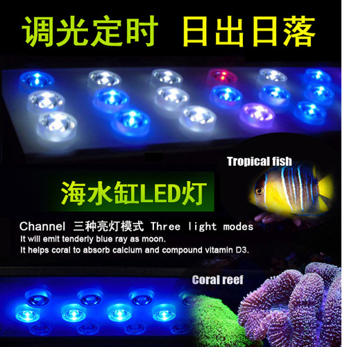 万景丰海缸珊瑚灯鱼缸LED