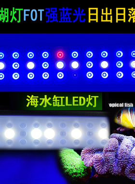 万景丰鱼缸灯珊瑚灯强蓝光海缸LPS软体增艳fot补光照明灯日出日落