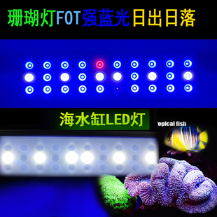 万景丰鱼缸灯珊瑚灯强蓝光海缸LPS软体增艳fot补光照明灯日出日落