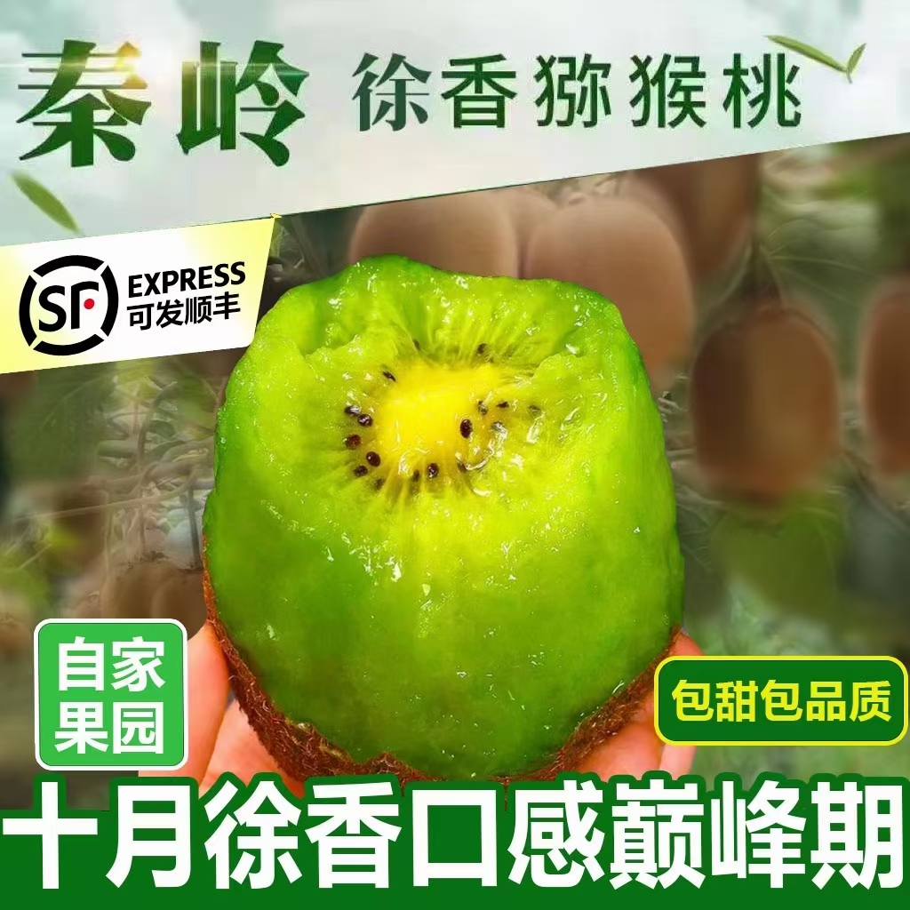 自家种植高原徐香猕猴桃特好品质