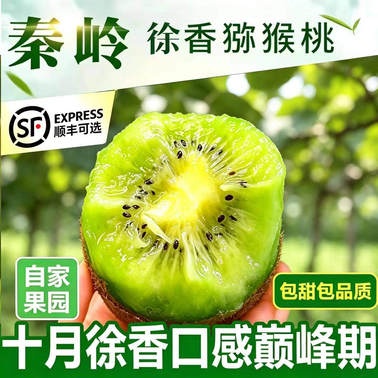 自家种植高原徐香猕猴桃特好品质