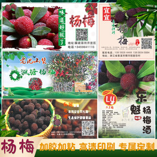 杨梅白梅贴纸设计哈密瓜西瓜腰封桃形李西梅标签榴莲樱桃不干胶