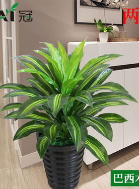 仿真植物假树盆景大型绿植盆栽室内客厅酒店装饰摆设仿真巴西木铁