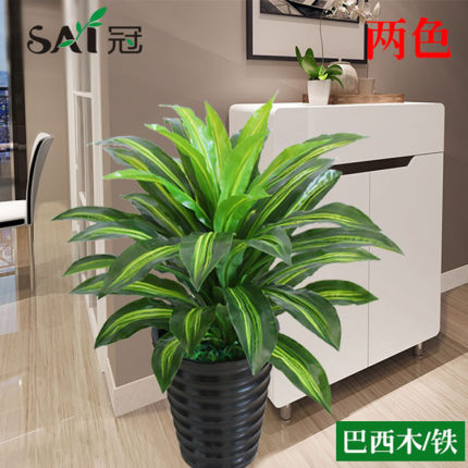仿真植物假树盆景大型绿植盆栽室内客厅酒店装饰摆设仿真巴西木铁