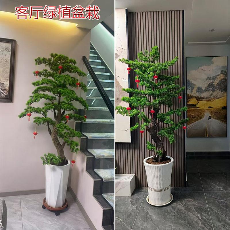 室内仿真迎客松盆栽绿植摆件