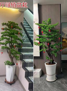 室内仿真迎客松盆栽居家客厅玄关大型绿植室内装饰景观假禅意摆件