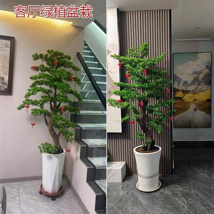 室内仿真迎客松盆栽居家客厅玄关大型绿植室内装饰景观假禅意摆件