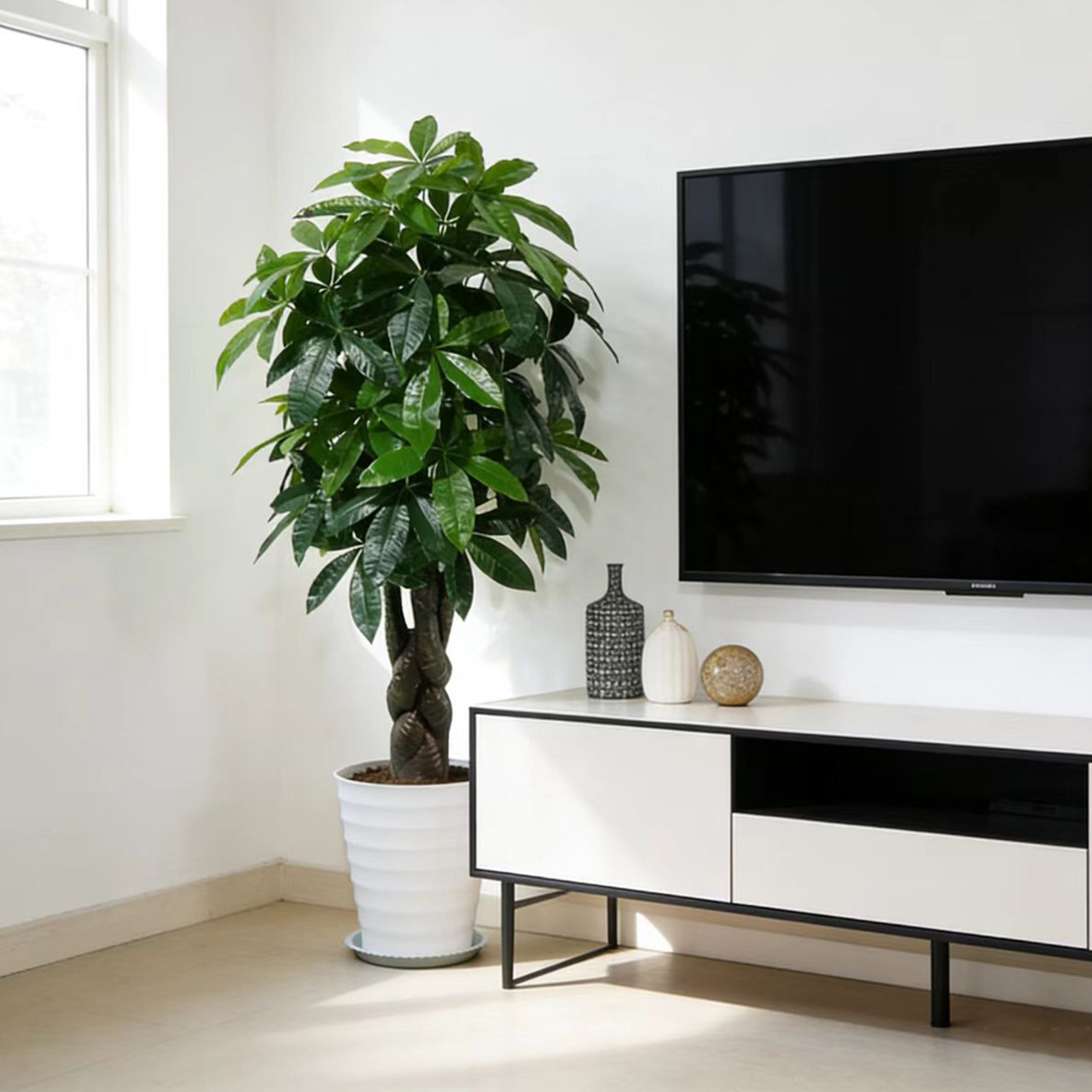 室内绿植仿真发财树假树盆栽客厅玄关落地摆放装饰仿生花塑料盆景,鲜花速递/花卉仿真/绿植园艺,仿真绿植,淘宝优惠券,粉丝福利购,淘宝优惠卷