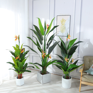 饰摆件 北欧仿真天堂鸟旅人蕉室内大型绿植盆栽假树假花客厅落地装