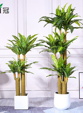 北欧仿真巴西木大型绿植假树客厅创意落地绿色装饰家居室内盆栽摆