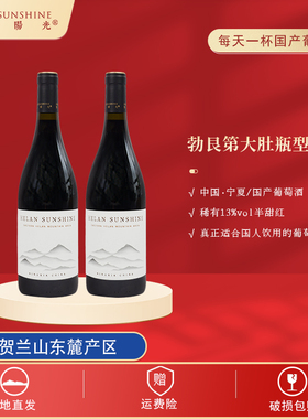 柏阁【贺兰阳光】精选半甜型红葡萄酒 日常13%VOL葡萄酒750ml*2瓶