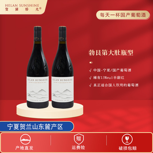 日常13%VOL葡萄酒750ml 精选半甜型红葡萄酒 2瓶 贺兰阳光 柏阁