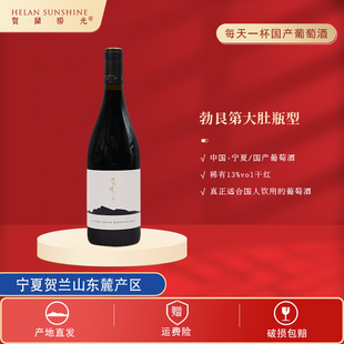 【贺兰阳光】宁夏贺兰山东麓产区山海干红葡萄酒750ml*1 精品佳酿