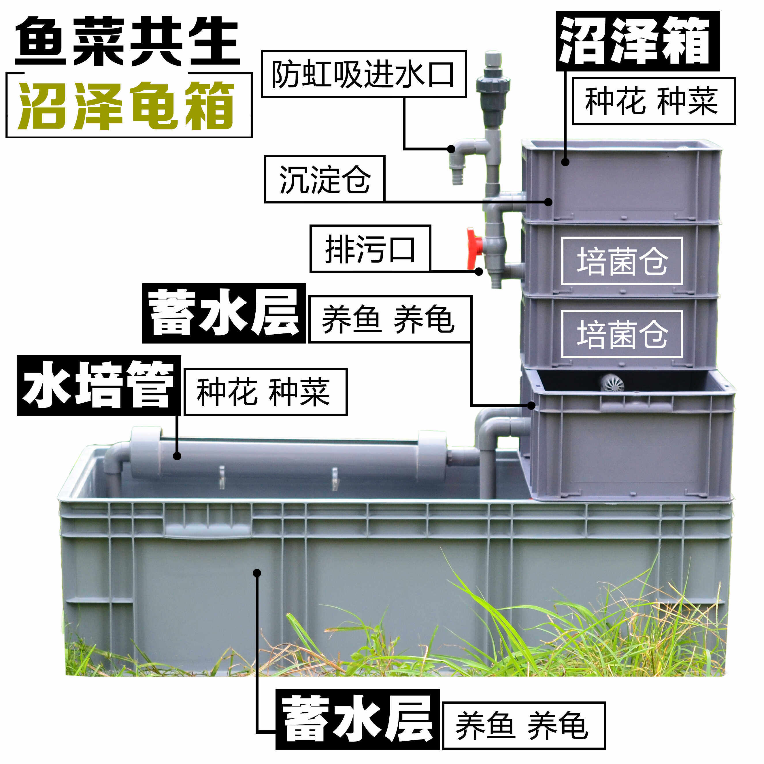 龟池低水位鱼菜共生过滤器