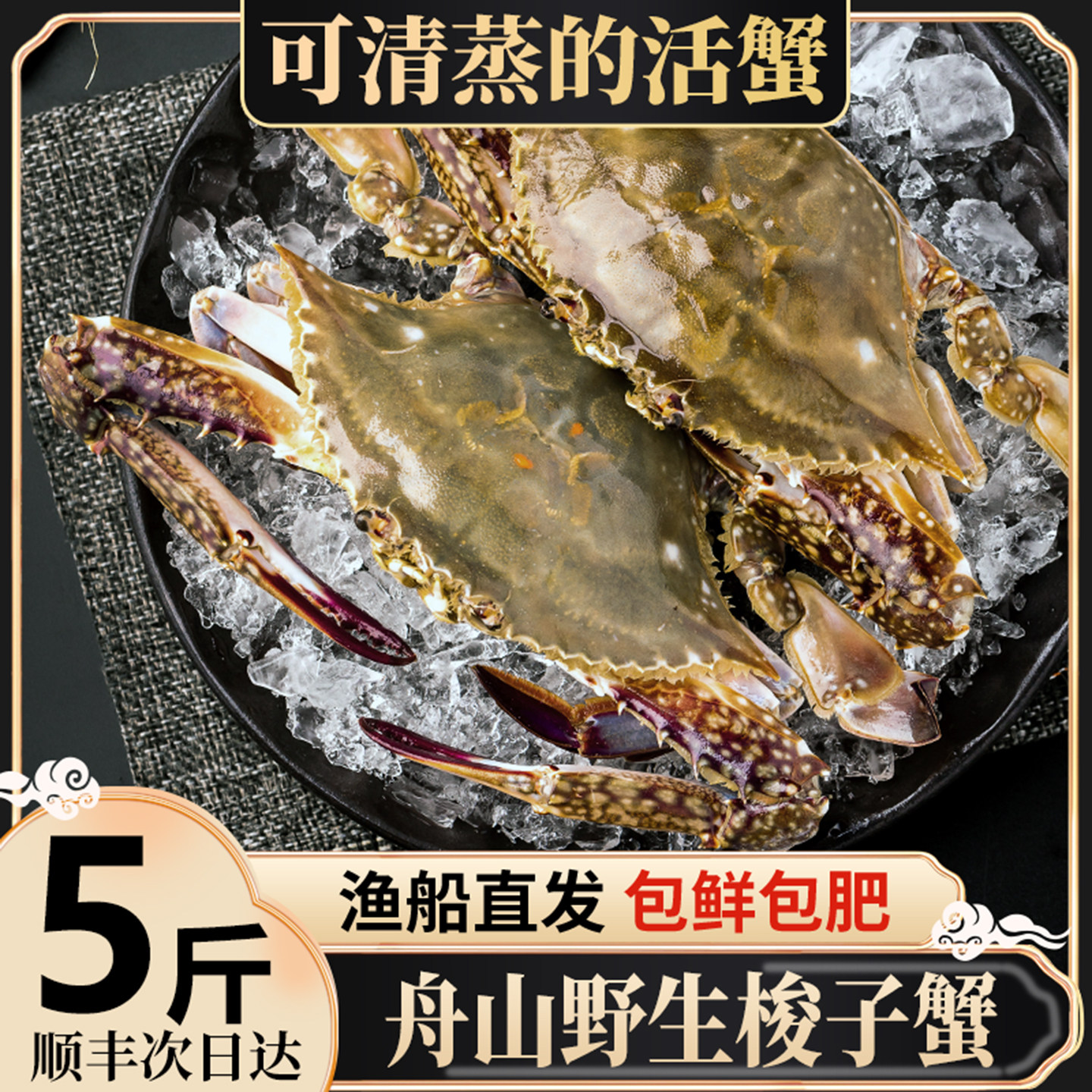 特大舟山梭子蟹!当季爆肥大公蟹