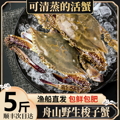 特大舟山梭子蟹!当季爆肥大公蟹