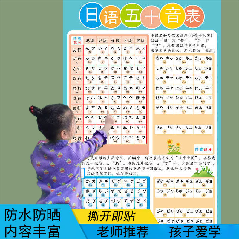 日语50音图发音表墙贴纸培训辅导班宣传入门五十音挂图培语言知识