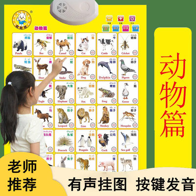 宝宝有声早教挂图识字拼音汽车