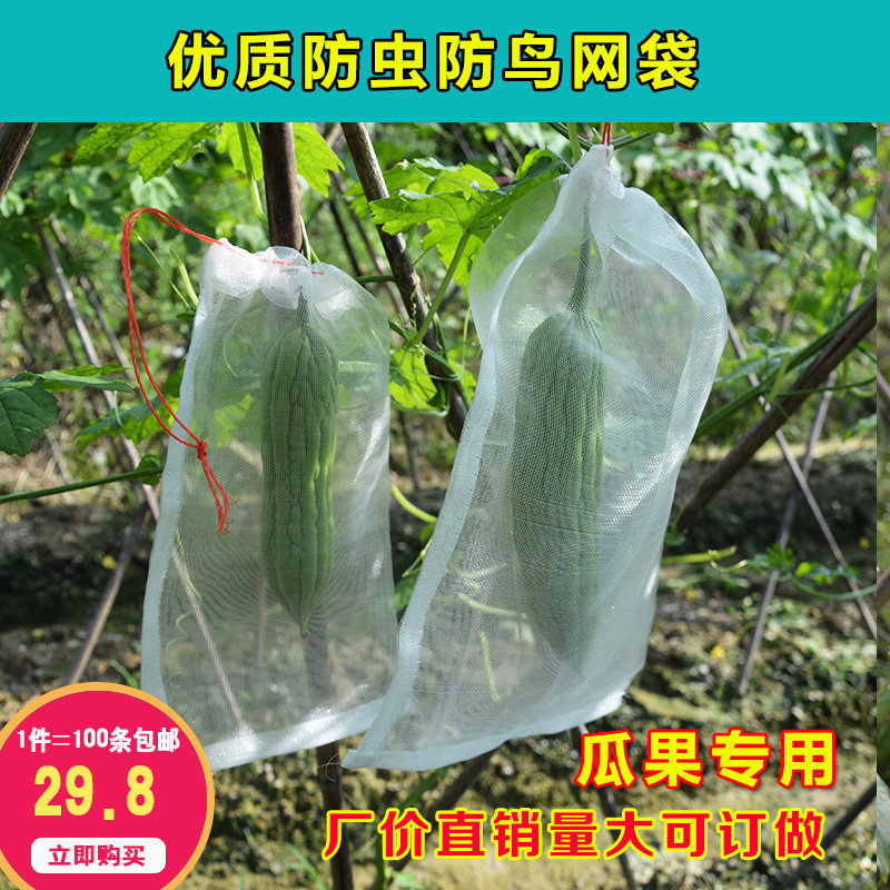 果树水果蔬菜防虫保护套袋防护网袋尼龙种子袋浸种袋纱网袋在类目 鲜花速递/花卉仿真/绿植园艺, 园艺用品, 其它园艺用品中 - 来自Buy2taobao.com提供专业的淘宝代购服务