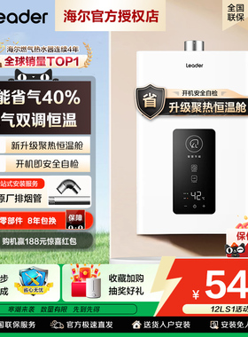海尔出品统帅燃气热水器天然气液化气家用节能12升16L13强排式LS1