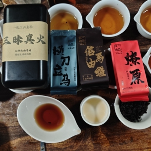 一饮江山《三昧真火》 组合 三款不同火功的马头岩肉桂 武夷岩茶