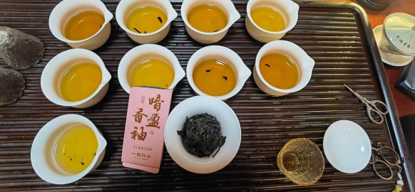 一饮江山 暗香盈袖 拼配大红袍特色产区红茶