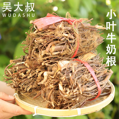 吴大叔浙江小叶牛奶根炖汤食材
