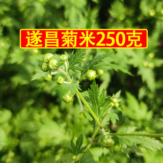 23年新遂昌特产农家野菊米石练胎菊花茶未开花泡水珍珠菊250g散装