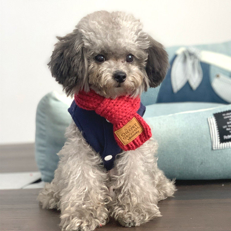 毛线围巾宠物围巾小狗狗围脖雪纳瑞法斗小型犬猫咪围巾围脖暖秋冬