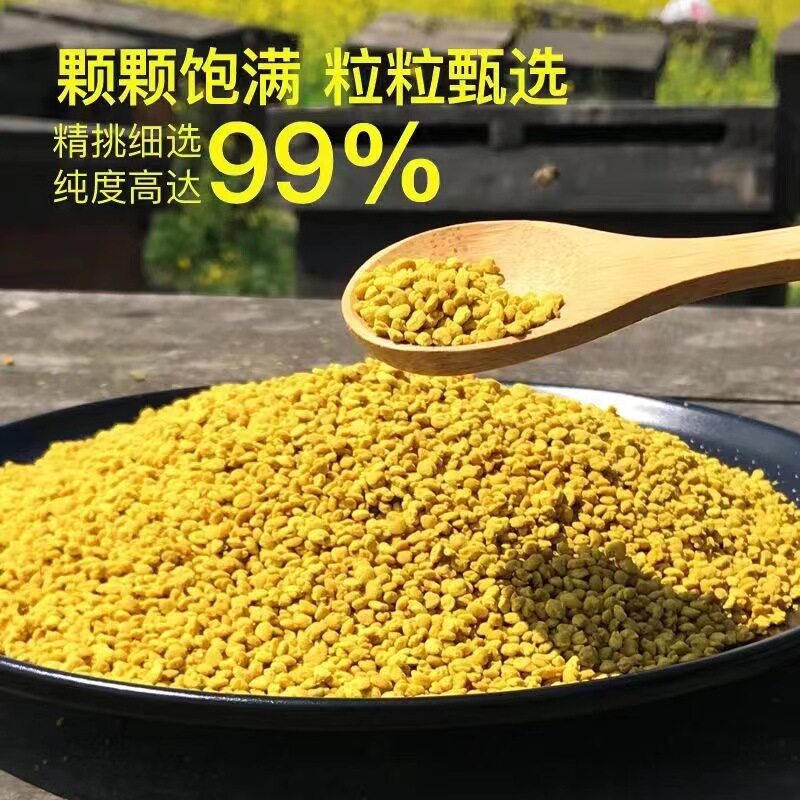 新鲜青海油菜花粉天然食用蜂花粉