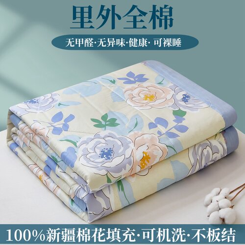 里外全棉纯棉棉花夏被薄被子