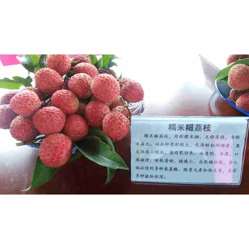 广东增城兰溪荔枝糯米糍,啖啖肉细核,清甜香糯顺丰空运(已下市)