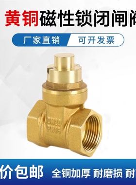 磁性锁闭铜闸阀dn15带锁自来水表前阀4分加密闸阀20防盗锁闭阀门