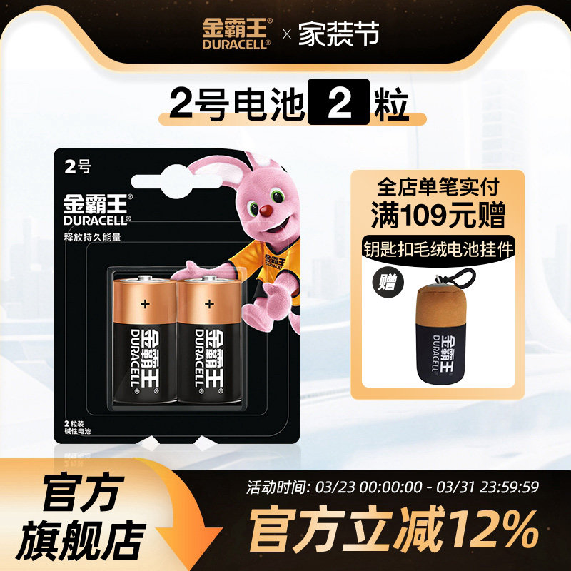 金霸王2号电池二号碱性干电池费雪玩具花洒摇椅挂钟扫地机器人C型L