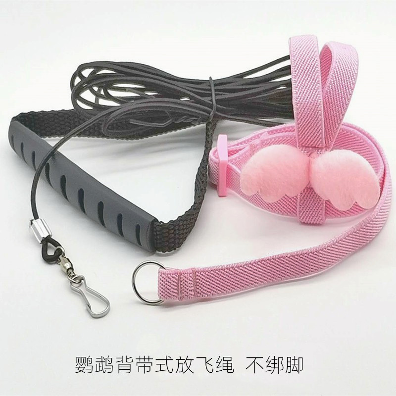 玄风鹦鹉放飞绳超轻栓鸟牵引绳