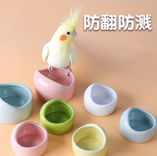 鹦鹉喂食器陶瓷饲养碗鸟类饲料杯宠物食具仓鼠食盆防打翻防溅食