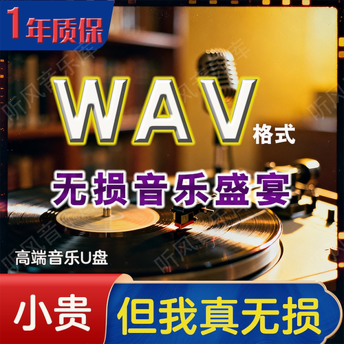 车载U盘经典怀旧热门流无损音乐