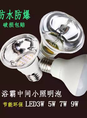浴霸中间小照明灯泡通用LED节能
