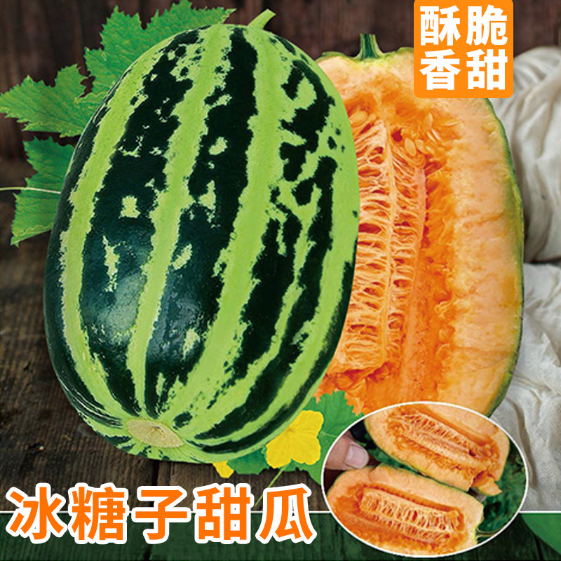 冰糖子甜瓜种子薄皮甜瓜籽水果种孑大全羊角蜜西瓜香瓜早熟绿甜宝
