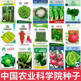 农科院种子中蔬种业蔬菜种孑菜籽辣椒油菜快菜苦瓜黄瓜生菜紫番茄
