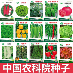 农科院种子中蔬种业蔬菜种孑菜籽辣椒油菜快菜苦瓜黄瓜生菜紫番茄