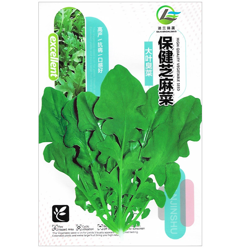 臭菜种子芝麻菜籽东北大叶臭菜盆栽蔬菜种子野菜籽农家四季菜种籽