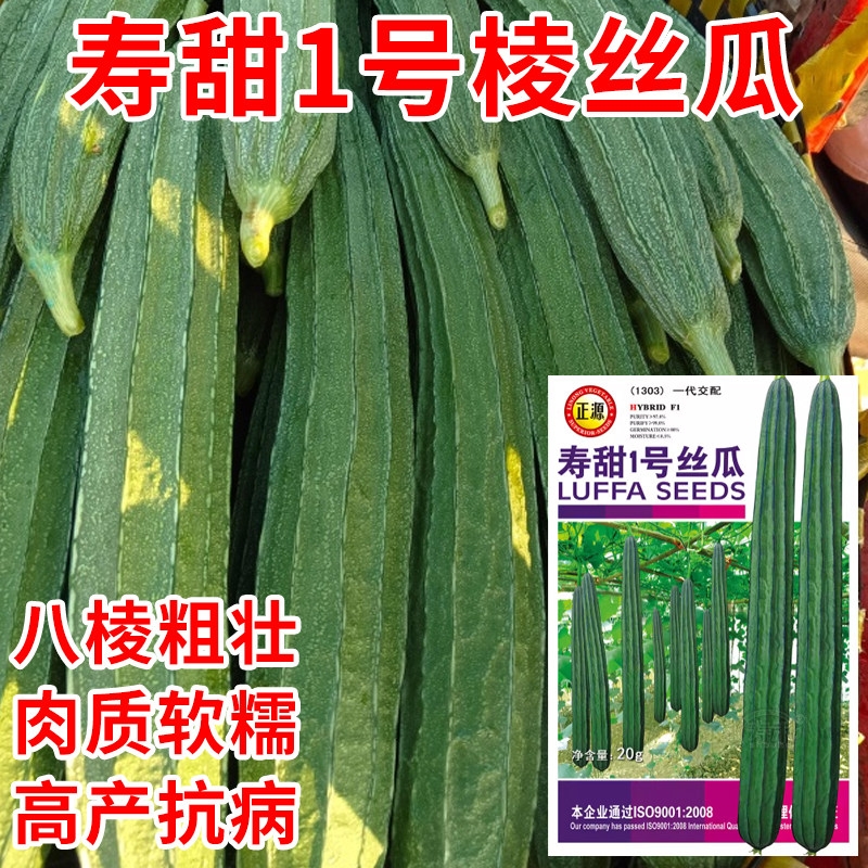 寿甜1号棱丝瓜种子八棱棱角高产八角长春四季蔬菜超长种籽长孑子