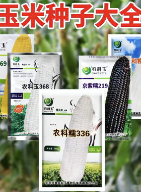 水果玉米种子糯玉米籽甜玉米种孑农科糯336农科玉368甜糯玉米种籽