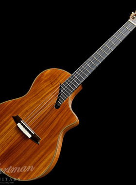 日本Martinez LTD MSCC-14 All Koa/限定生产电箱吉他/日本直邮