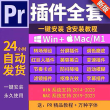 2024pr软件插件全套中文一键安装包转场调色磨皮预设素材模板教程