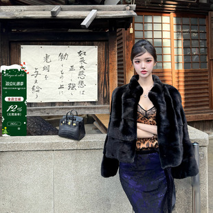 美国进口水貂 黑貂天花板一衣一证可扫码 viola 高奢宝嘉美